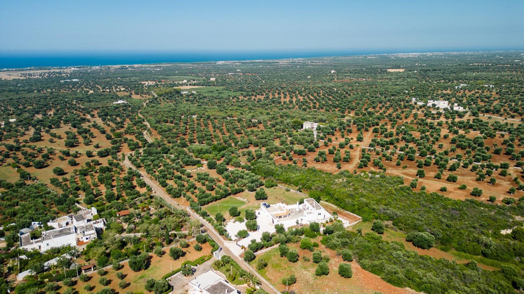Masseria Abadia Uno Ostuni