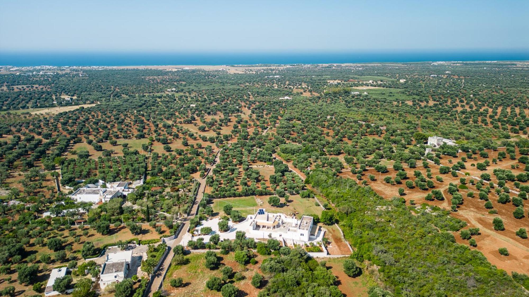 Guest house Masseria Abadia Uno